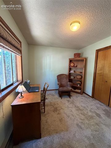 17730 Grama Ridge Road, Colorado Springs, CO 80908