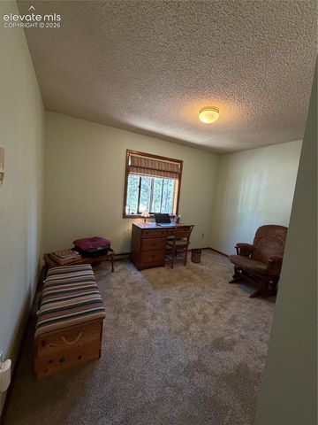 17730 Grama Ridge Road, Colorado Springs, CO 80908