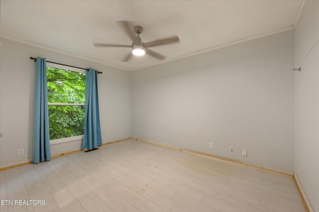1117 Rain Tree Rd, Knoxville, TN 37923