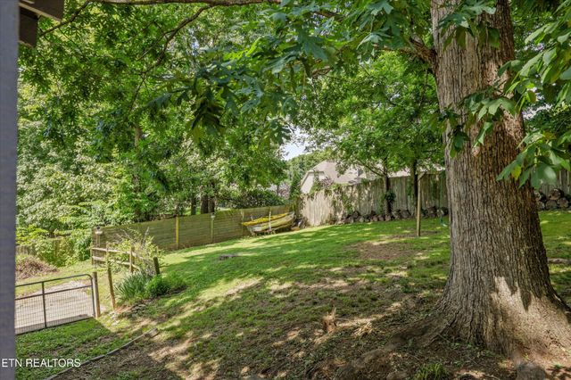 1117 Rain Tree Rd, Knoxville, TN 37923