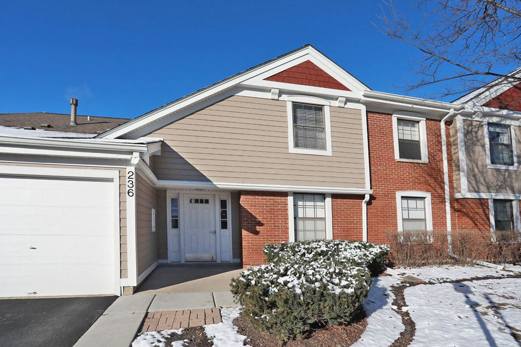236 Deerpath Court B1, Schaumburg, IL 60193
