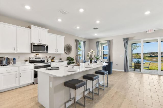 26234 CORAL LAKES DRIVE, Punta Gorda, FL 33955