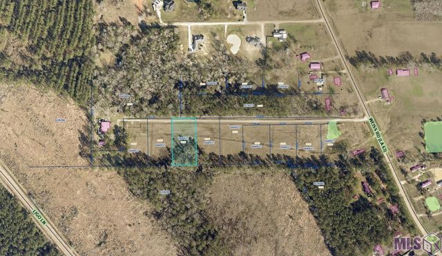 Lot 4 Weiss Rd, Walker, LA 70785