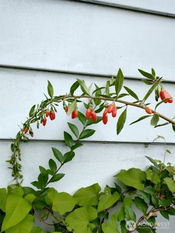 943 23rd Avenue, Seattle, WA 98122