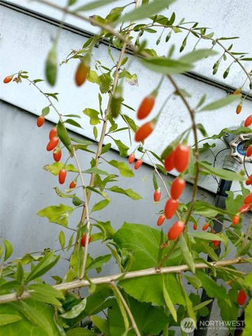 943 23rd Avenue, Seattle, WA 98122