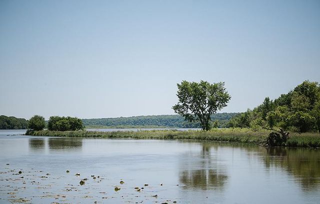 10796 Henslowe Avenue S, Cottage Grove, MN 55016