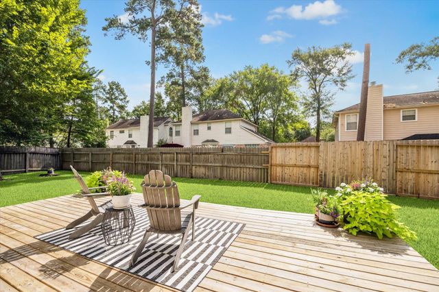 14 Lush Meadow Place, The Woodlands, TX 77381