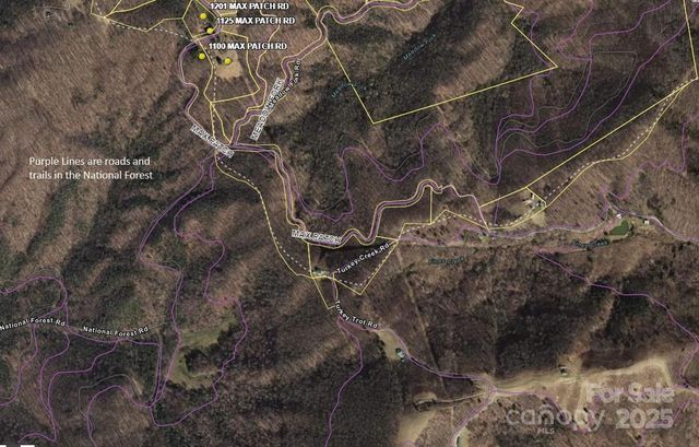 Tract 2 Turkey Trot Road, Clyde, NC 28721