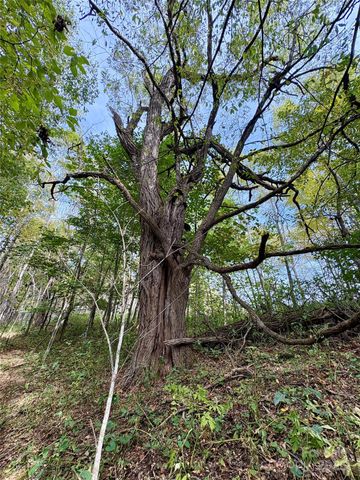 Tract 2 Turkey Trot Road, Clyde, NC 28721