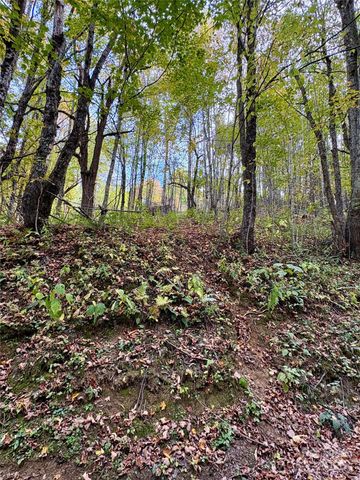 Tract 2 Turkey Trot Road, Clyde, NC 28721