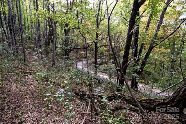 Tract 2 Turkey Trot Road, Clyde, NC 28721