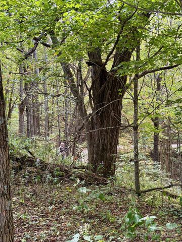 Tract 2 Turkey Trot Road, Clyde, NC 28721