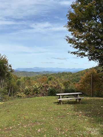 Tract 2 Turkey Trot Road, Clyde, NC 28721