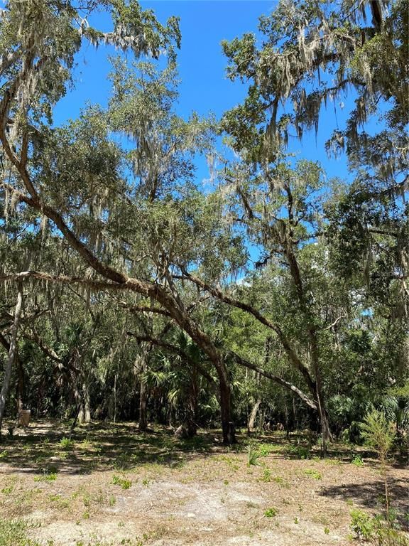 12641 W AMUR MAPLE PLACE, Crystal River, FL 34428