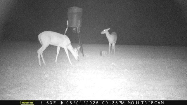 1218 Ray Williams Road, Knifley, KY 42753