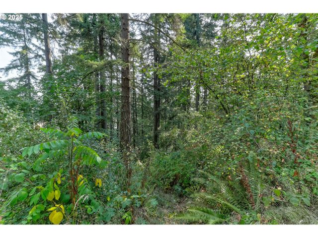 Nw Arcadia 15-17, Portland, OR 97231