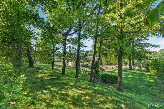 15 Summerhill Lane, Town And Country, MO 63017