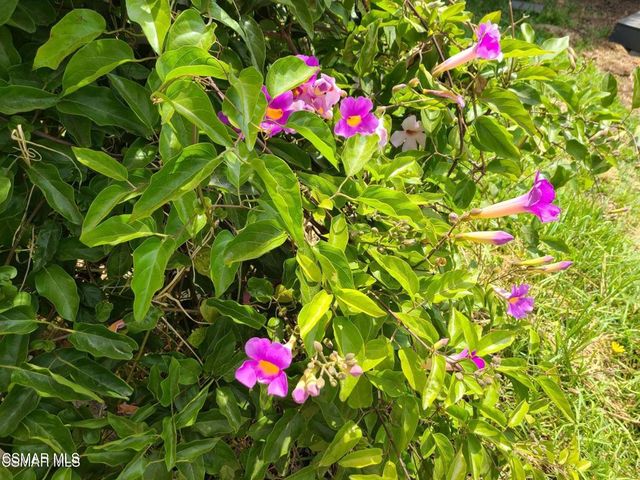 1404 Suffolk Avenue, Thousand Oaks, CA 91360