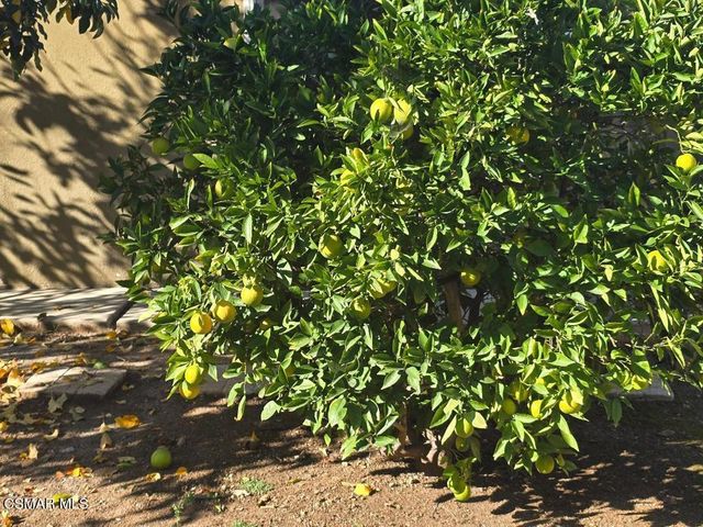 1404 Suffolk Avenue, Thousand Oaks, CA 91360