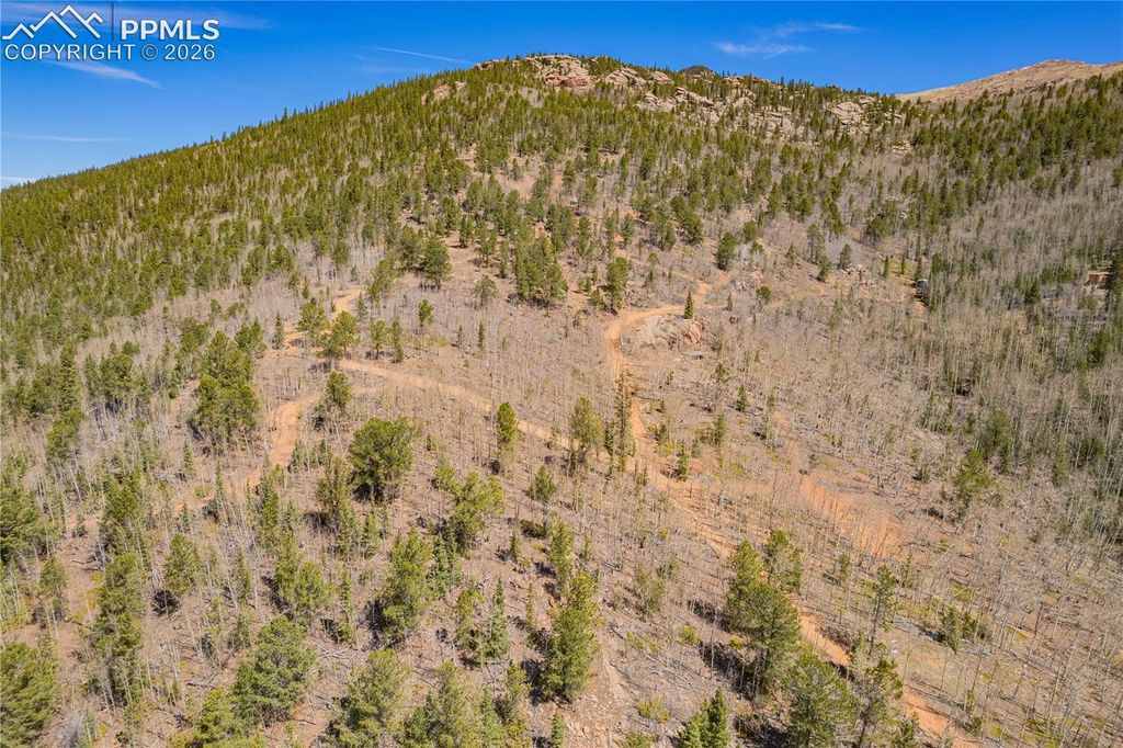 S Highway 67, Cripple Creek, CO 80813 — photo 4