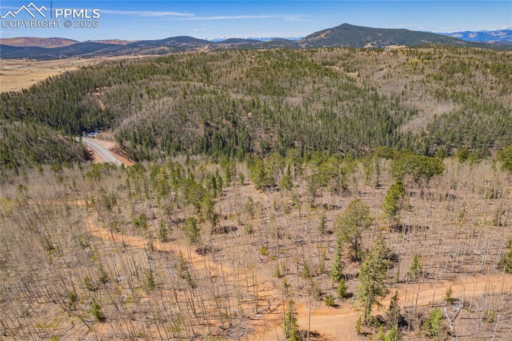 S Highway 67, Cripple Creek, CO 80813 — photo 5