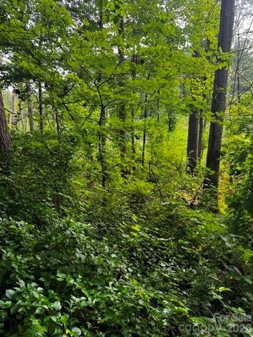 00000 Monticello Road, Weaverville, NC 28787