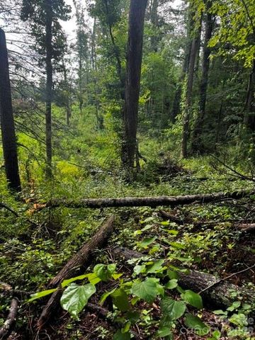 00000 Monticello Road, Weaverville, NC 28787