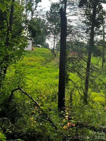 00000 Monticello Road, Weaverville, NC 28787