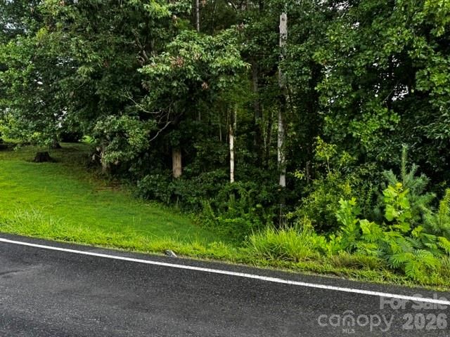 00000 Monticello Road, Weaverville, NC 28787