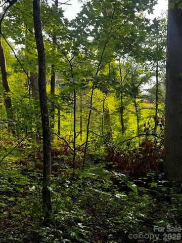 00000 Monticello Road, Weaverville, NC 28787