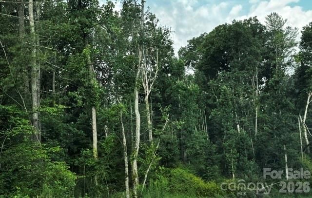 00000 Monticello Road, Weaverville, NC 28787