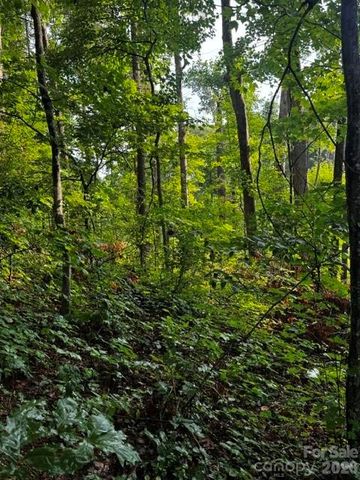 00000 Monticello Road, Weaverville, NC 28787