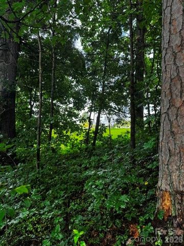 00000 Monticello Road, Weaverville, NC 28787