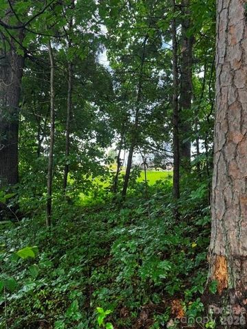 00000 Monticello Road, Weaverville, NC 28787