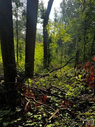 00000 Monticello Road, Weaverville, NC 28787