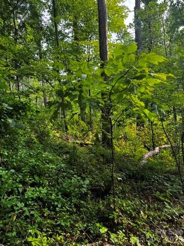 00000 Monticello Road, Weaverville, NC 28787