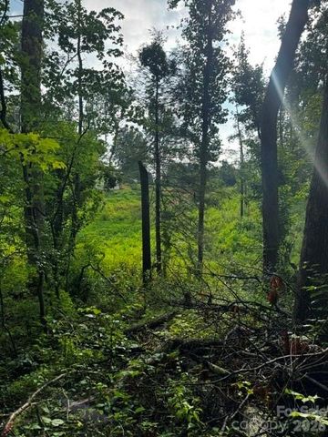 00000 Monticello Road, Weaverville, NC 28787