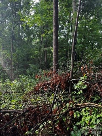 00000 Monticello Road, Weaverville, NC 28787