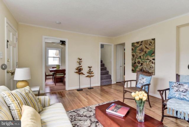 10407 GRANDIN RD, Silver Spring, MD 20902