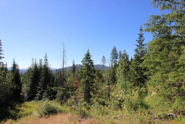 XXX Buck Creek Rd, Newport, WA 99156