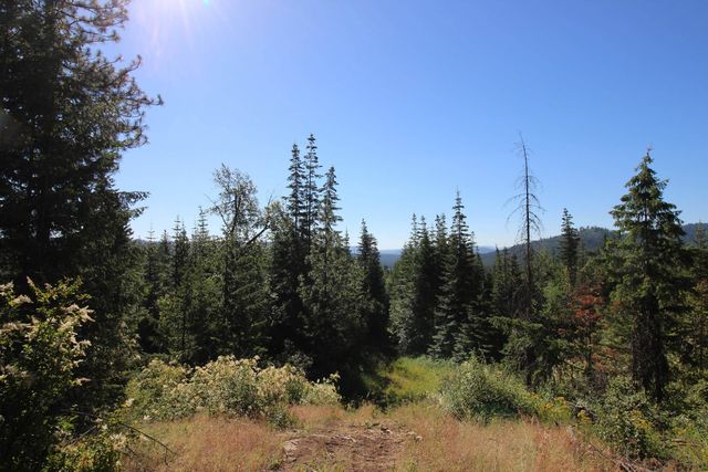 XXX Buck Creek Rd, Newport, WA 99156