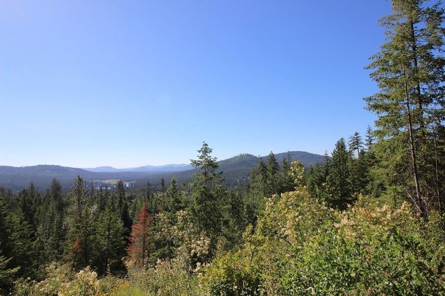 XXX Buck Creek Rd, Newport, WA 99156