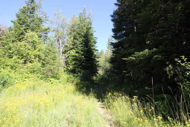 XXX Buck Creek Rd, Newport, WA 99156