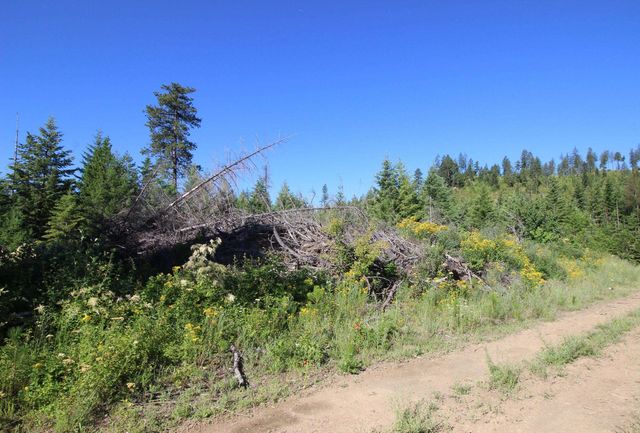 XXX Buck Creek Rd, Newport, WA 99156