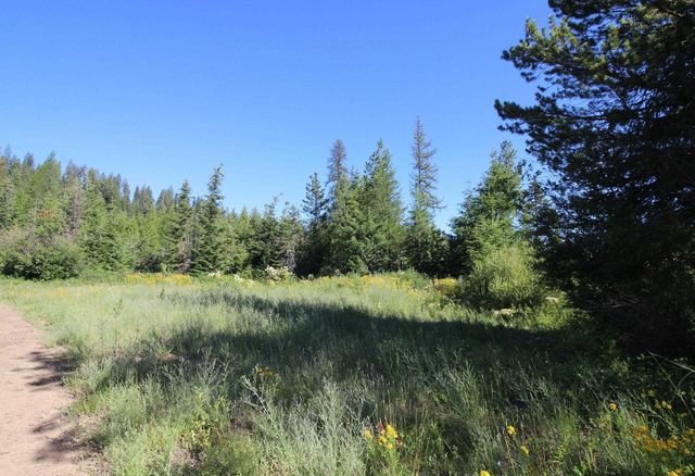 XXX Buck Creek Rd, Newport, WA 99156