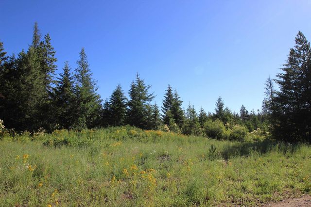 XXX Buck Creek Rd, Newport, WA 99156