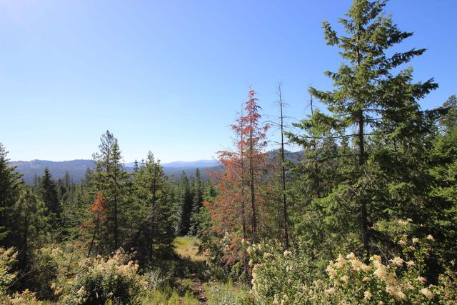 XXX Buck Creek Rd, Newport, WA 99156