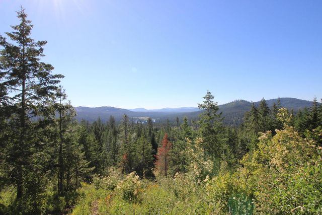 XXX Buck Creek Rd, Newport, WA 99156