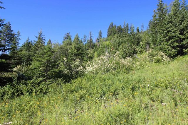 XXX Buck Creek Rd, Newport, WA 99156