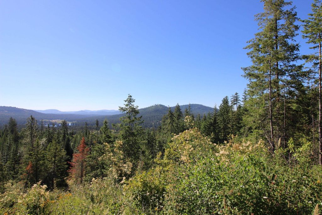 XXX Buck Creek Rd, Newport, WA 99156